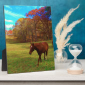 虹の色のフィールドに茶色の馬 フォトプラーク (側面)