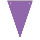 虹の色 バンティングフラッグ (第3の旗)