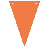 虹の色 バンティングフラッグ (第2の旗)