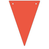 虹の色 バンティングフラッグ (第1の旗)