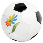 虹の花 サッカーボール (3/4)