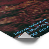 虹の菩薩/ポスター ポスター (角)