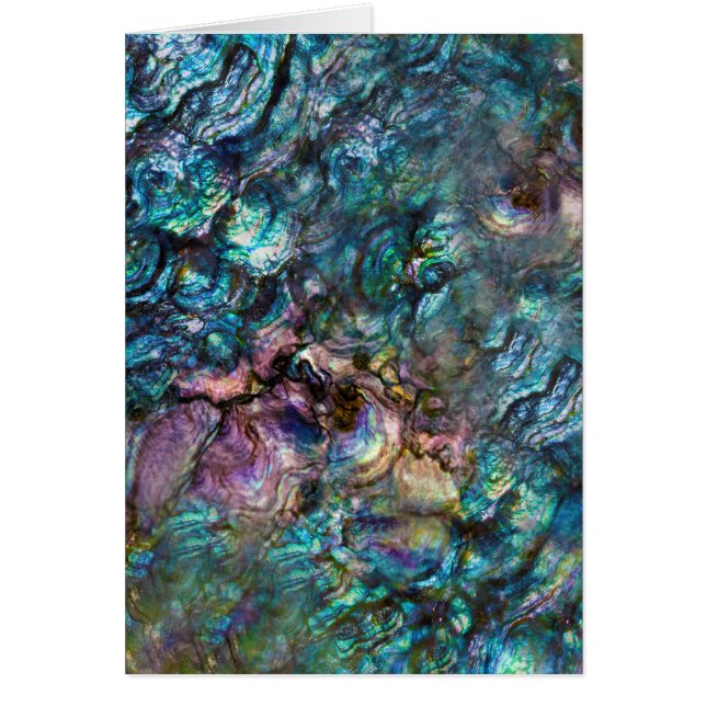 虹の虹色アワビの海のシェルありがとう (正面)