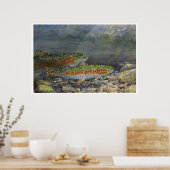 虹の追いかけ ポスター (キッチン)