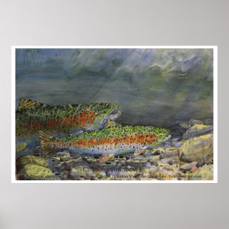 虹の追いかけ ポスター