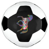 虹の馬 – あなたの名前 サッカーボール (回転)