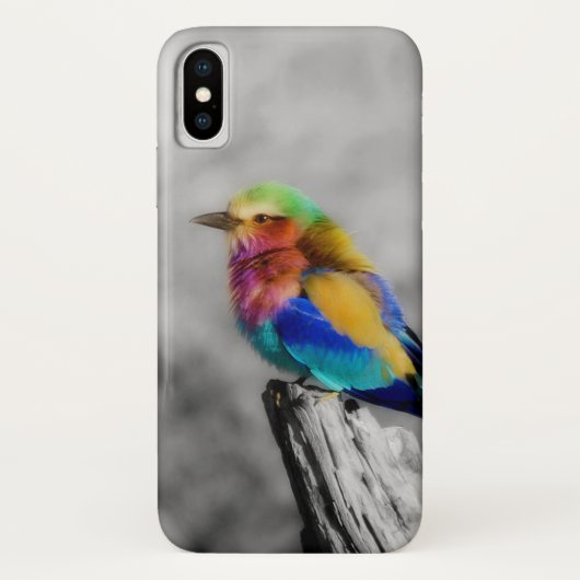虹の鳥 Case-Mate iPhoneケース (裏面)