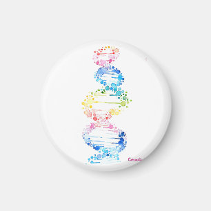虹のDNA マグネット