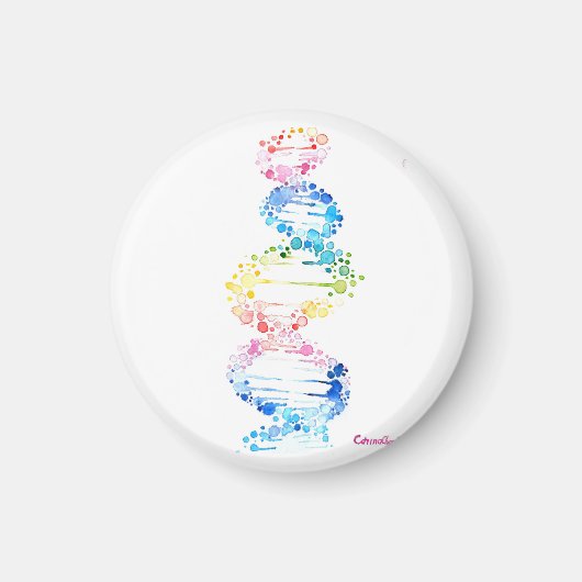 虹のDNA マグネット (正面)