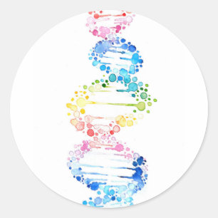 虹のDNA ラウンドシール