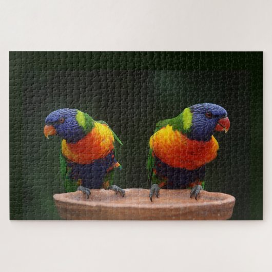 虹のLorikeetのオウム ジグソーパズル (横)