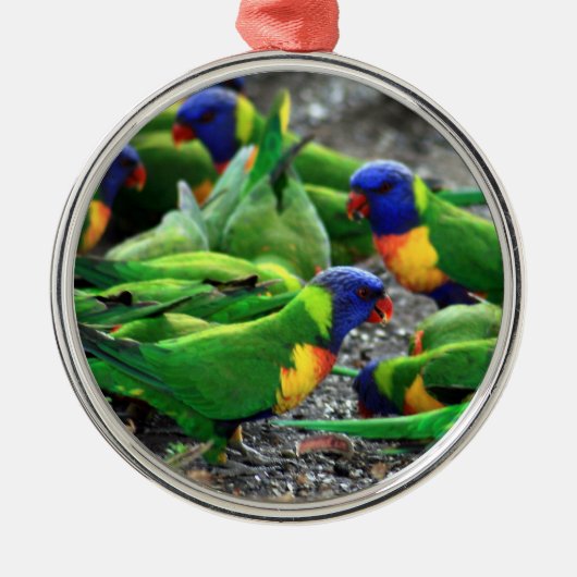 虹のLorikeetのオーストラリアの鳥 メタルオーナメント (正面)