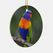 虹のLorikeetのTrichoglossusのHaematodusのオウム セラミックオーナメント (右)