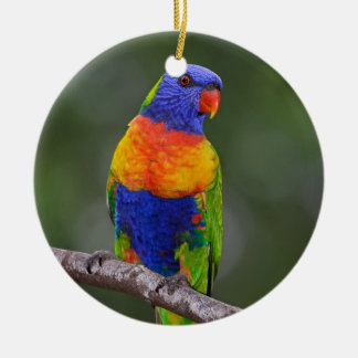 虹のLorikeetのTrichoglossusのHaematodusのオウム セラミックオーナメント