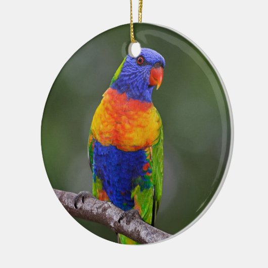 虹のLorikeetのTrichoglossusのHaematodusのオウム セラミックオーナメント (左)