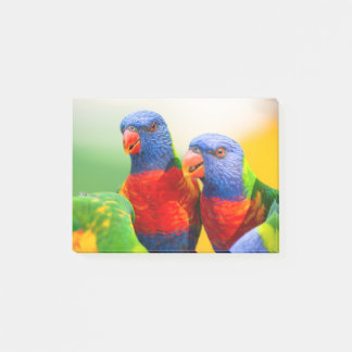 虹のlorikeets ポストイット