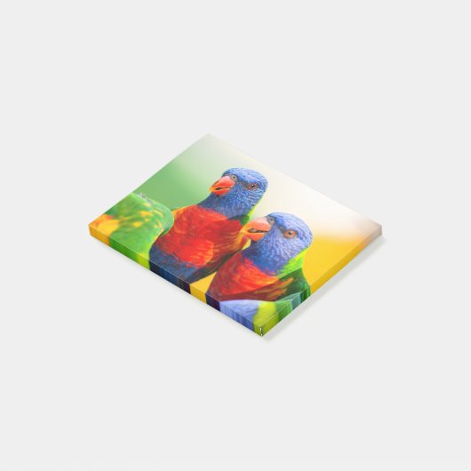 虹のlorikeets ポストイット (アングル)