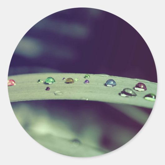 虹はステッカーを落とします ラウンドシール (正面)