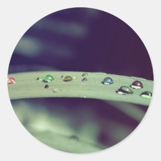 虹はステッカーを落とします ラウンドシール