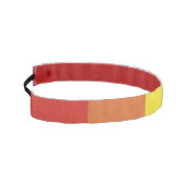 虹は縞で飾ります アスレチックヘッドバンド (左)