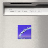 虹を使ったドルフィンダイビング マグネット (インサイチュ (食洗機))