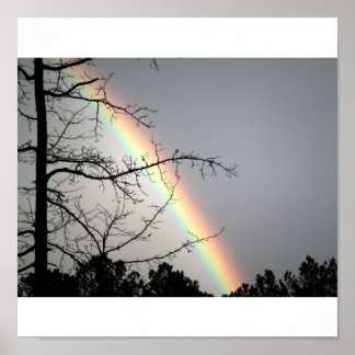 虹を追いかける ポスター