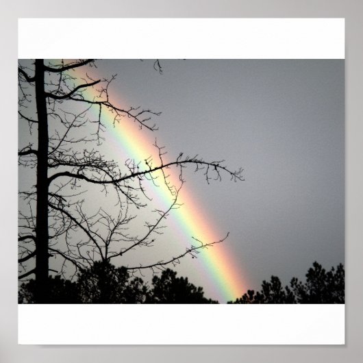 虹を追いかける ポスター (正面)
