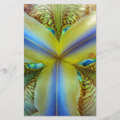 虹彩の内側 便箋 (正面)