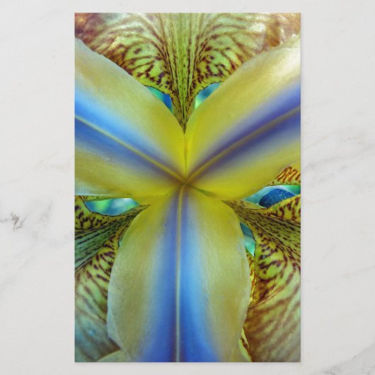 虹彩の内側 便箋 (正面)