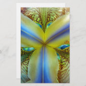 虹彩の内側 便箋 (正面/裏面)