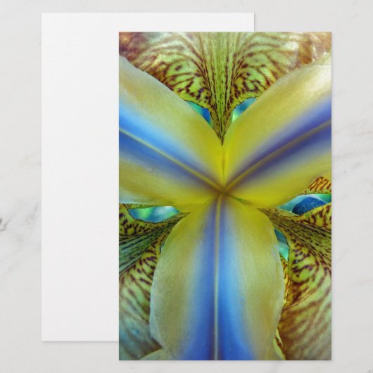 虹彩の内側 便箋 (正面/裏面)