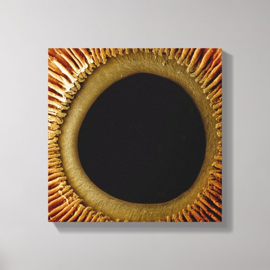 虹彩の内面のビュー キャンバスプリント (正面)