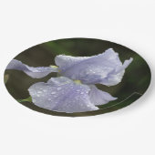 虹彩の花と雨粒 ペーパープレート (アングル)