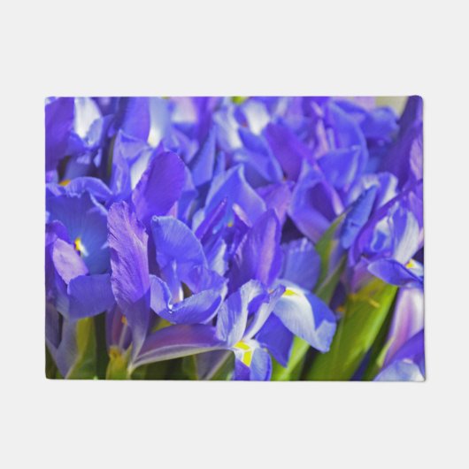 虹彩の花 ドアマット (正面)