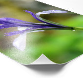 虹彩の雨滴 フォトプリント            (角)