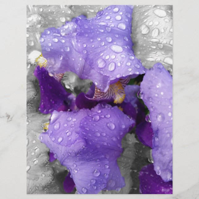 虹彩の雨粒 (正面)