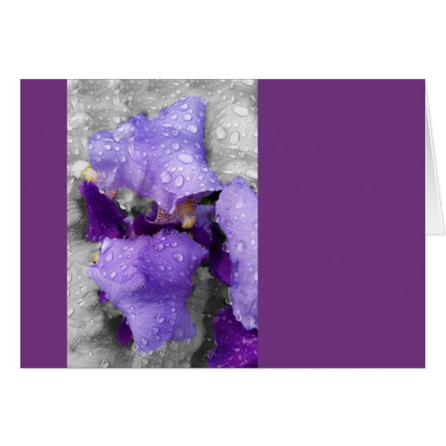 虹彩の雨粒 (正面横)