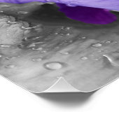 虹彩の雨粒 ポスター (コーナー)