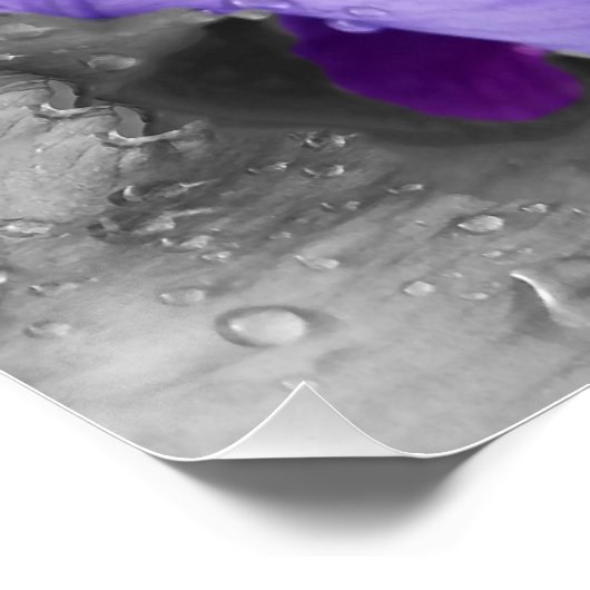 虹彩の雨粒 ポスター (コーナー)