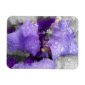 虹彩の雨粒 マグネット (横)