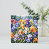 虹彩カラフル園 (スタンド正面)