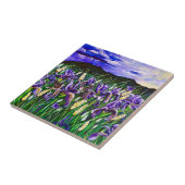 虹彩フィールドタイル上の嵐 タイル (側面)