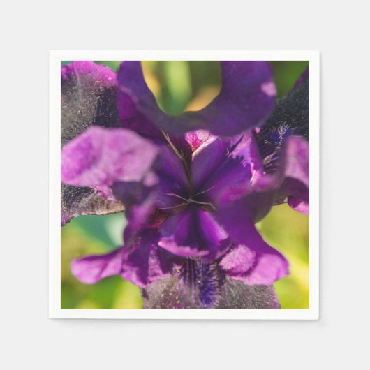 虹彩内で スタンダードカクテルナプキン (正面)