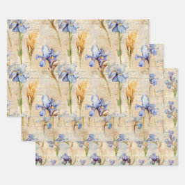 虹彩包み紙 ラッピングペーパーシート