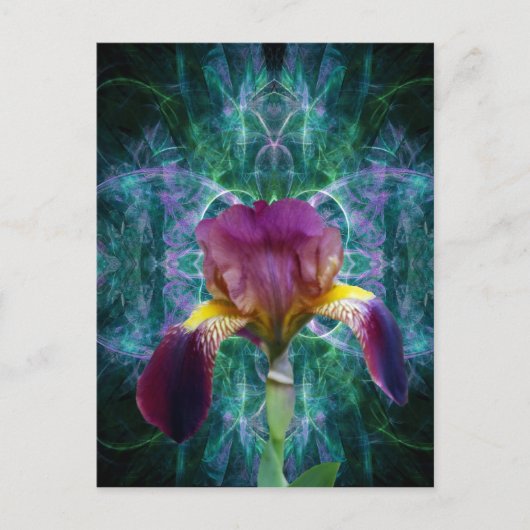 虹彩及びその意味 ポストカード (正面)