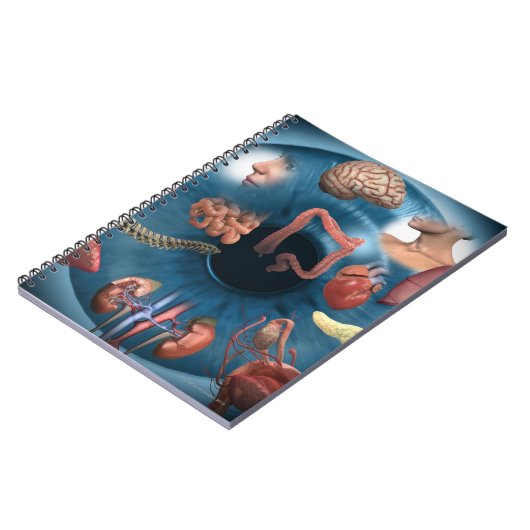 虹彩学 ノートブック (左側)