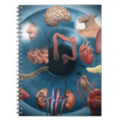 虹彩学 ノートブック (正面)