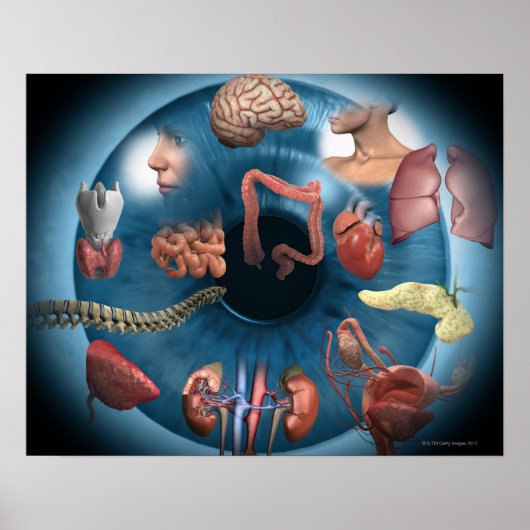 虹彩学 ポスター (正面)