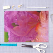 虹彩美しい – 組織包み紙 薄葉紙 (クラフト)