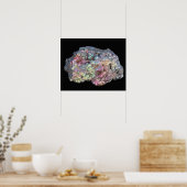 虹彩色を示すゲーテ ポスター (キッチン)